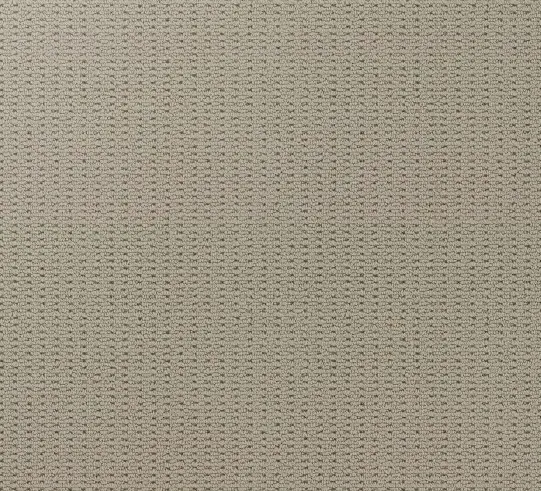 Soft beige carpet with subtle textured pattern, ideal for commercial and residential flooring.