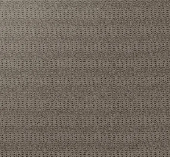 Luxurious beige carpet with subtle textured pattern for modern living spaces.