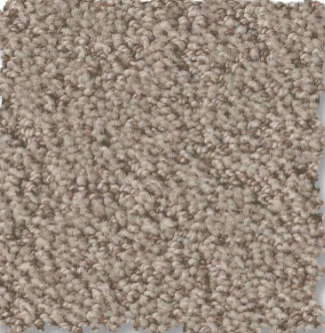 Soft beige carpet flooring in a residential living space.