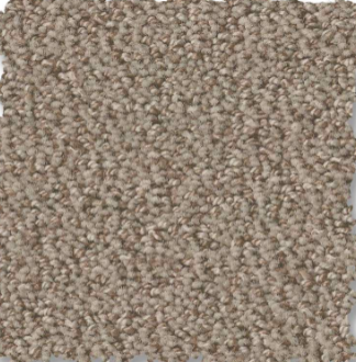 Soft beige carpet flooring from Creative Floors for residential and commercial spaces.