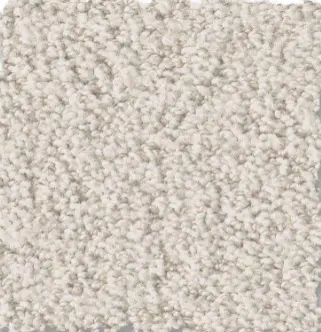 Soft beige carpet with plush texture for luxury flooring solutions.