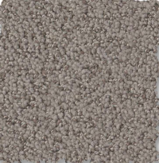 Luxurious beige plush carpet flooring in a residential interior.