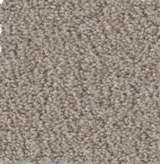 Soft beige carpet flooring with plush texture for home or office use.
