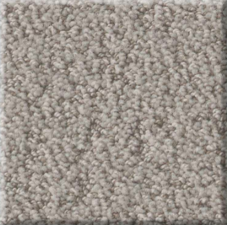 Soft beige carpet with plush texture, ideal for home flooring.