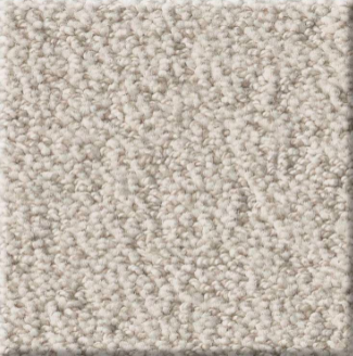 Soft beige carpet flooring with plush texture and comfortable feel, ideal for home or office spaces.