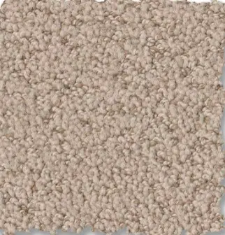 Soft beige carpet flooring in a home interior for cozy living spaces.