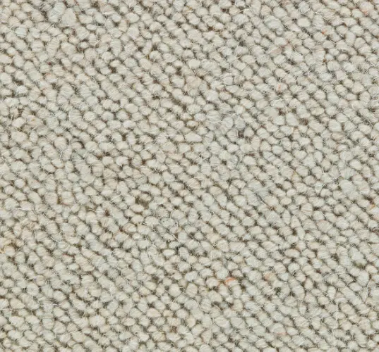Luxurious beige carpet with plush, textured fibers perfect for residential or commercial flooring.