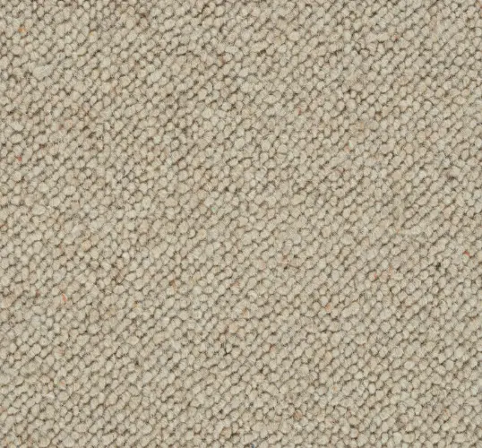 Soft beige carpet with textured plush fibers for luxurious flooring solutions.