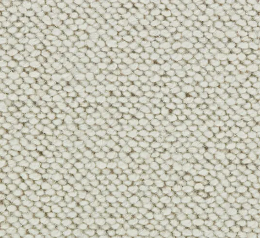 Cream textured carpet with small, rounded fibers ideal for residential and commercial flooring solutions.