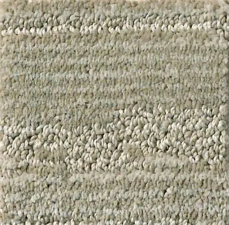 Plush beige shaggy carpet with textured fibers for cozy living spaces.