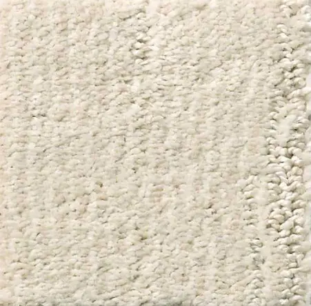 Luxurious plush white carpet with soft texture and high-quality craftsmanship.