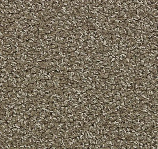 Soft brown textured carpet with plush pile, ideal for residential and commercial flooring solutions.