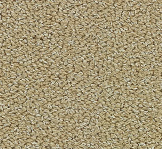Soft beige carpet fibers, ideal for home or office flooring.