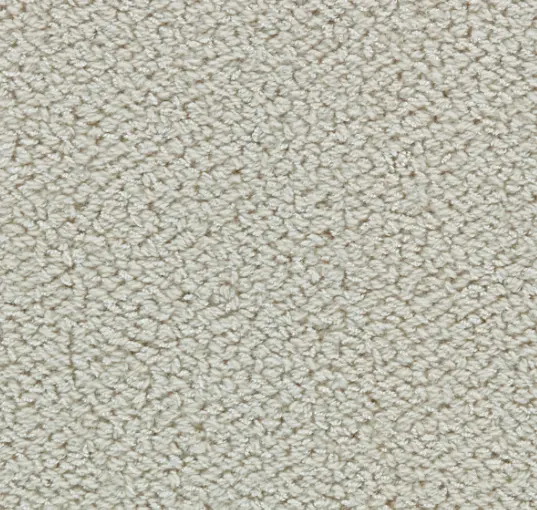 Plush beige carpet with textured fibers for a cozy, stylish home or office space.