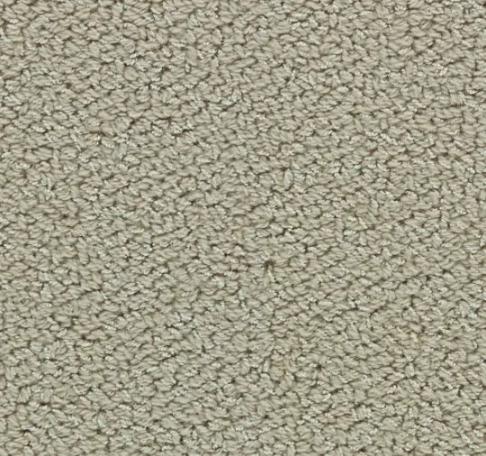 Plush beige carpet for residential or commercial flooring projects.