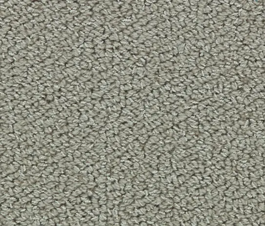 Soft beige plush carpet with textured loop pile, ideal for residential and commercial flooring.