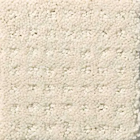 Alluring Disposition - Alabaster Soft beige plush carpet with textured fiber pattern for cozy residential or commercial flooring.