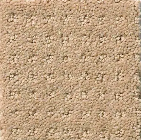 Alluring Disposition - Espresso Soft beige textured carpet for cozy interior flooring.