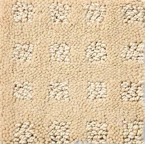 Alluring Disposition - Golden Rule Soft beige plush carpet with textured pattern, ideal for cozy interior flooring solutions.