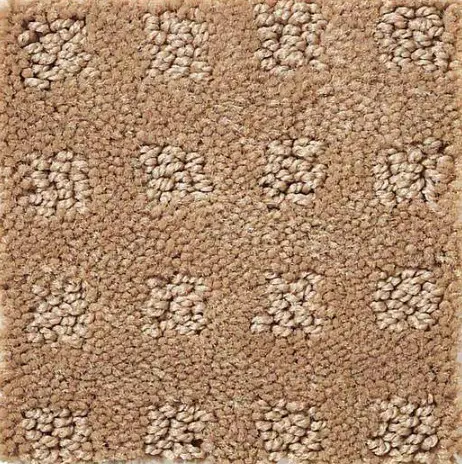 Alluring Disposition - Grounded Soft beige plush carpet with textured pattern, ideal for cozy living spaces and high-traffic areas.