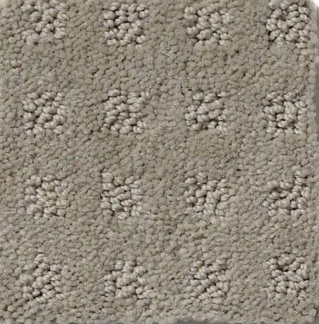Alluring Disposition - Lady in Grey Soft beige plush carpet with textured loop pattern, ideal for residential and commercial flooring solutions.