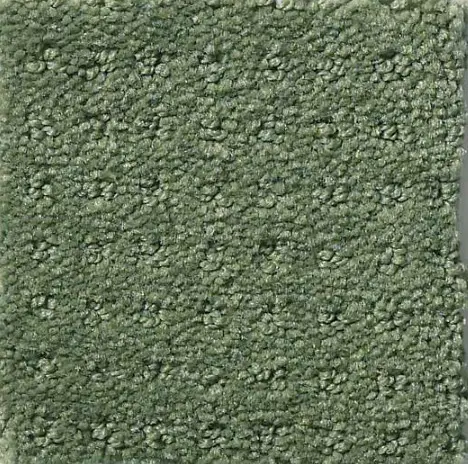 Alluring Disposition - Lush Garden Dense green carpet sample with textured loop pile, ideal for custom flooring solutions.