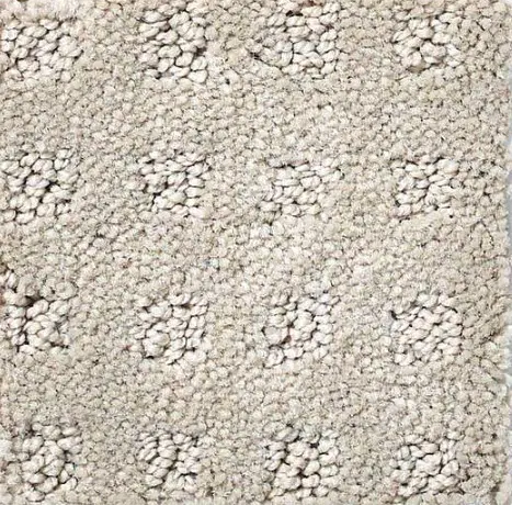 Alluring Disposition - Mindful Soft beige plush carpet with textured floral pattern, ideal for cozy home flooring.