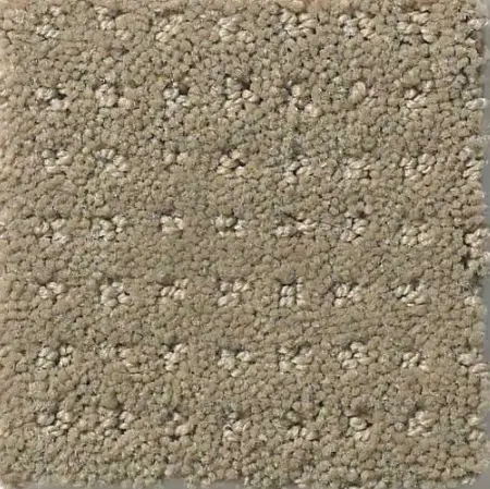 Alluring Disposition - Mocha Soft beige textured carpet with durable properties for residential and commercial flooring.