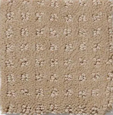 Alluring Disposition - Safari Soft beige carpet with textured floral pattern, ideal for cozy residential flooring.