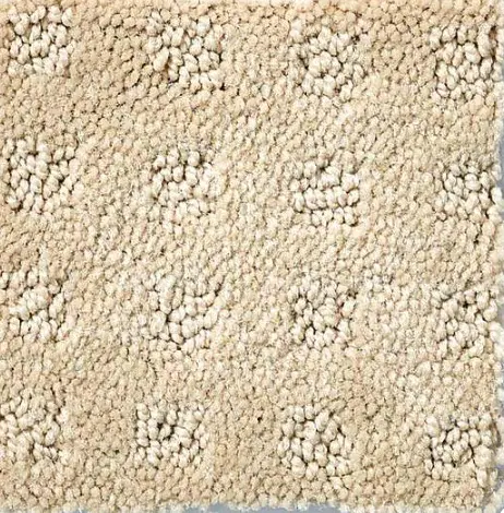 Alluring Disposition - Shoreline Plush beige shag carpet with soft, textured fibers for cozy home flooring.