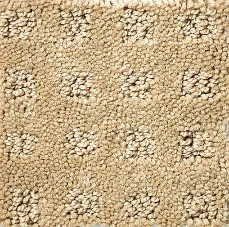 Alluring Disposition - Warmth Soft beige carpet with textured loop pile design for residential and commercial flooring.