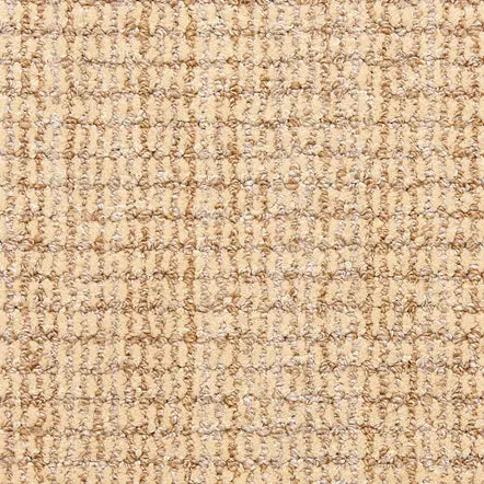 Aspen - Bisque Soft beige textured carpet flooring in a modern interior setting.