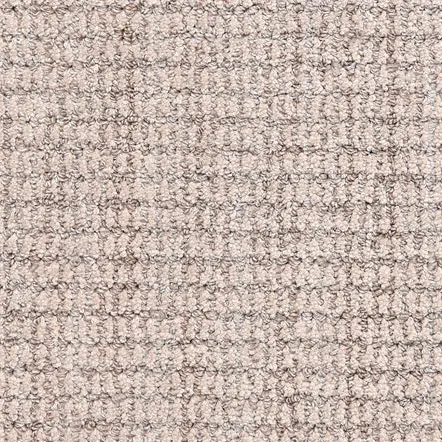 Aspen - Fog Soft beige textured carpet for luxurious home flooring, ideal for living rooms and bedrooms.