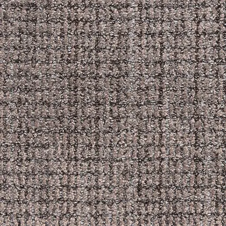 Aspen - Graphite Textured carpet flooring in neutral tones, ideal for residential or commercial spaces.