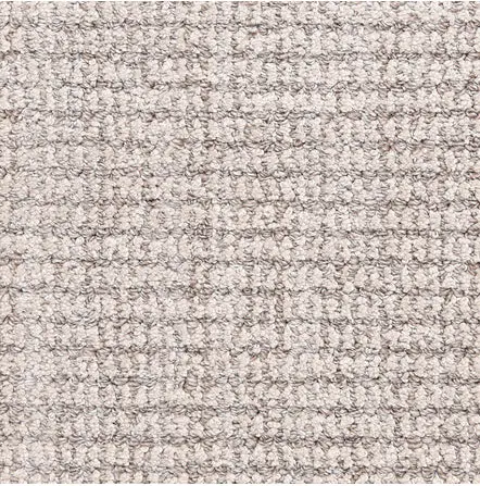 Aspen - Iron Soft beige textured carpet with plush fibers for cozy interior flooring solutions.