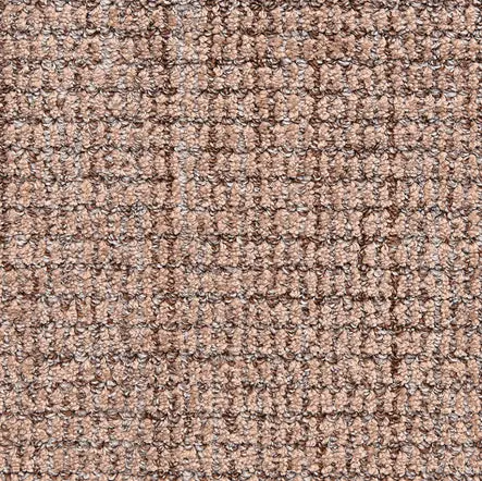 Aspen - Mocha Soft brown textured carpet showcasing high-quality flooring options for home or commercial spaces.