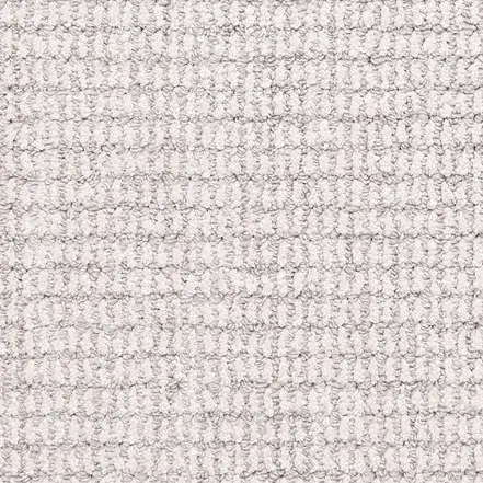 Aspen - Powder Luxurious beige textured carpet for residential or commercial flooring.