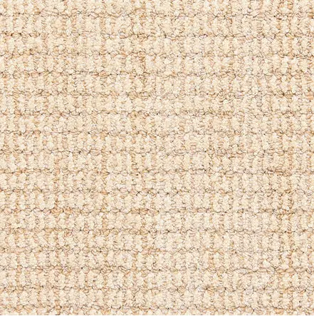 Aspen - Sand Cream textured carpet with plush fibers for luxurious residential and commercial flooring.