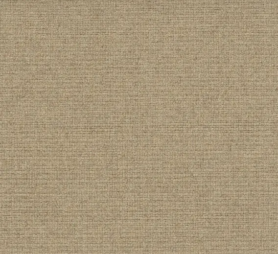 Soft beige carpet flooring with textured finish, ideal for enhancing modern interior spaces.