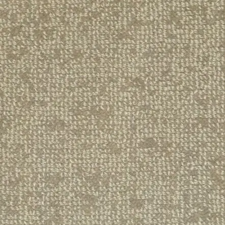 Soft beige carpet with textured plush finish, ideal for residential or commercial flooring.