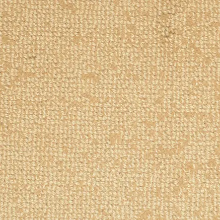 Cream carpet flooring with textured surface, ideal for residential and commercial spaces.
