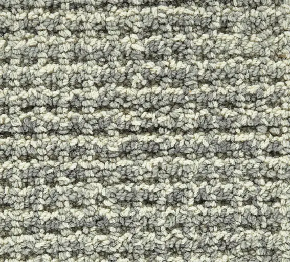 Soft plush carpet with textured, looped fibers in neutral gray and beige tones.