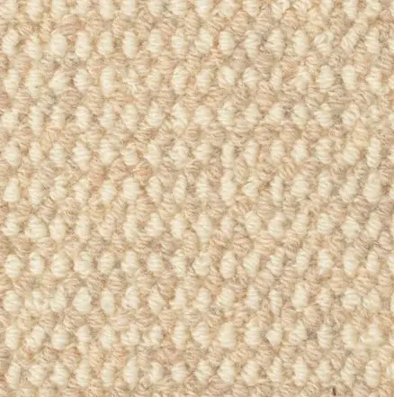 Soft beige textured carpet close-up, ideal for cozy home flooring.