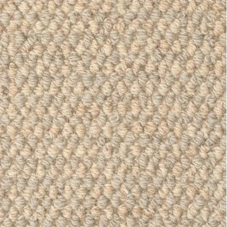 Soft beige carpet texture for residential and commercial flooring solutions.