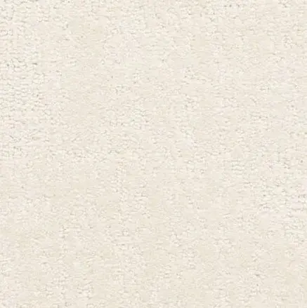 Belcarra - Vancouver Smooth beige textured wall surface for interior design and wall finishes.
