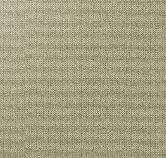 Beige textured carpet flooring for indoor residential or commercial spaces.