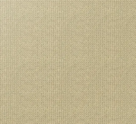 Beige textured carpet for interior flooring, durable and stylish for residential or commercial spaces.