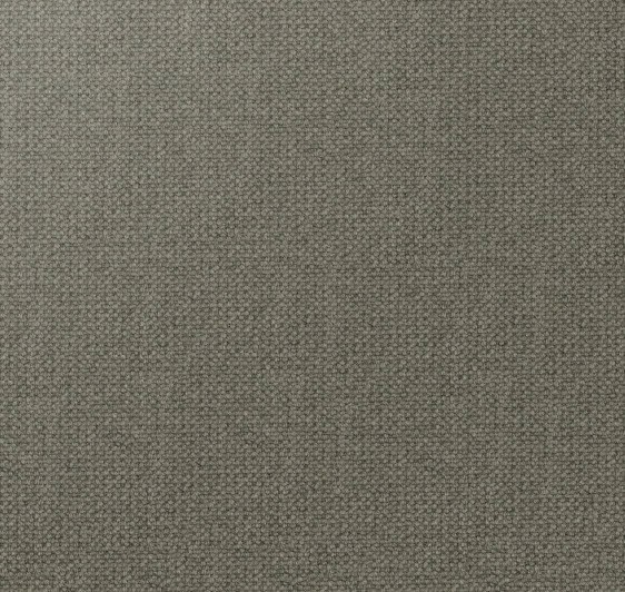 Plush carpet flooring in neutral gray color for residential and commercial spaces.