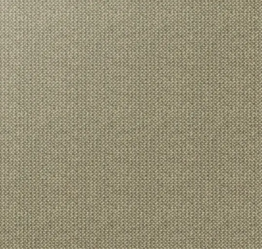 Soft beige textured carpet for stylish interior flooring solutions.