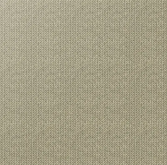 Soft beige textured carpet for home or commercial flooring solutions.